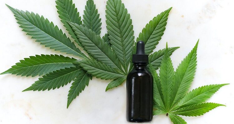 CBD Oil