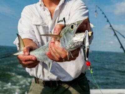 fishing charter