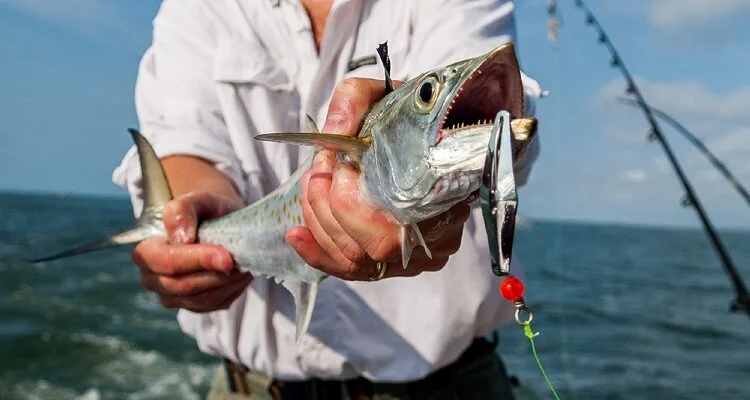 fishing charter